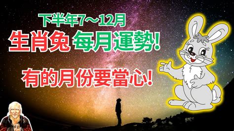 2024屬兔每月運勢|2024年屬兔每月運勢解析